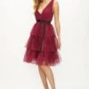 Coast Mesh Tiered Mini Dress -Simply Feminine Shop acc02173 berry xl