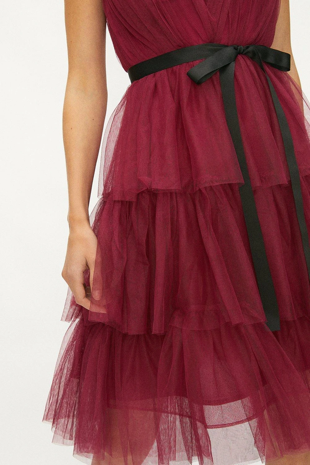 Coast Mesh Tiered Mini Dress 6 Coast Mesh Tiered Mini Dress - Image 4