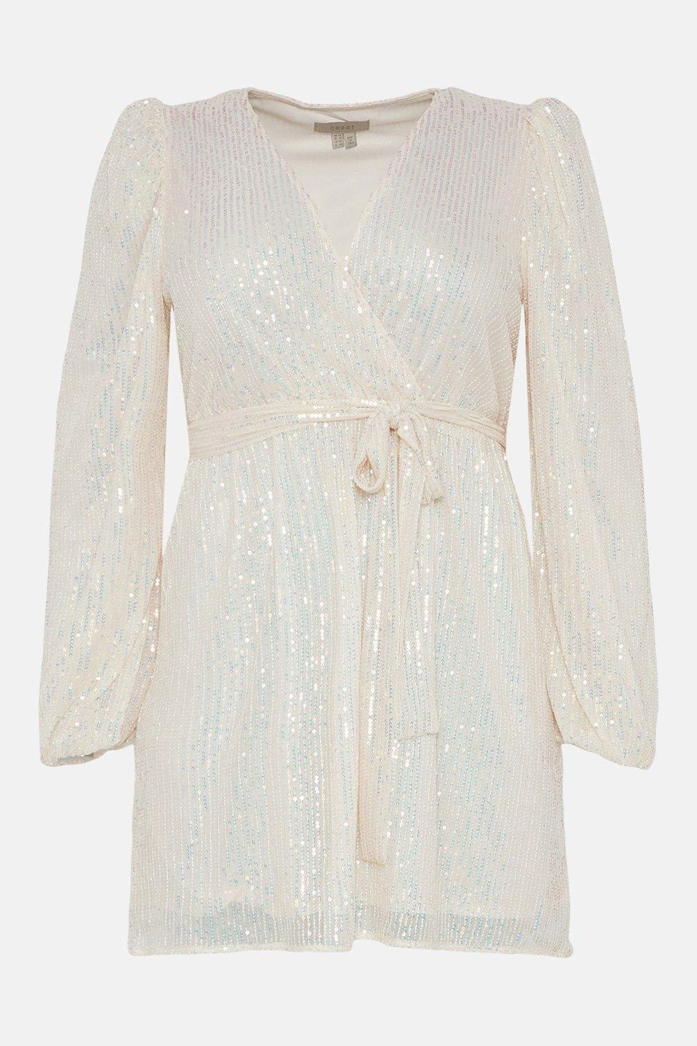 Coast Plus Size Sequin Low V Neck Dress 6 Coast Plus Size Sequin Low V Neck Dress - Image 4