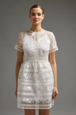 Coast Premium Embroidered Organza Mini Dress