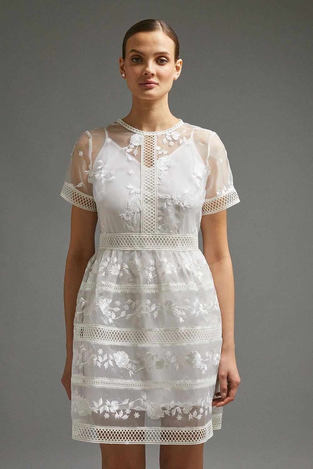 Coast Premium Embroidered Organza Mini Dress 3 Coast Premium Embroidered Organza Mini Dress
