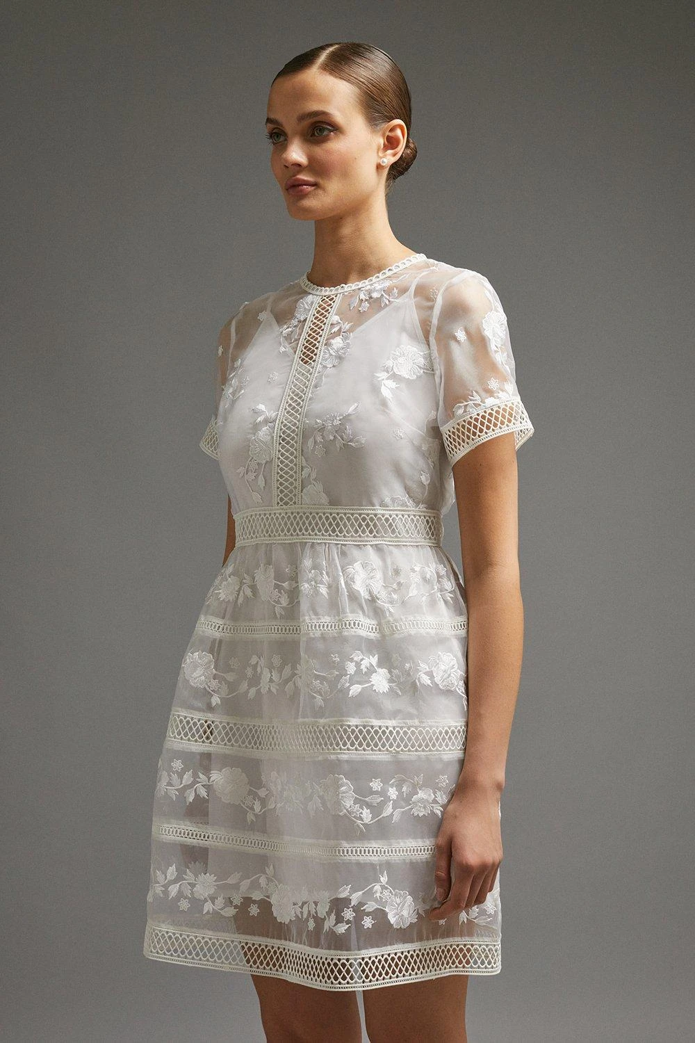 Coast Premium Embroidered Organza Mini Dress 4 Coast Premium Embroidered Organza Mini Dress - Image 2