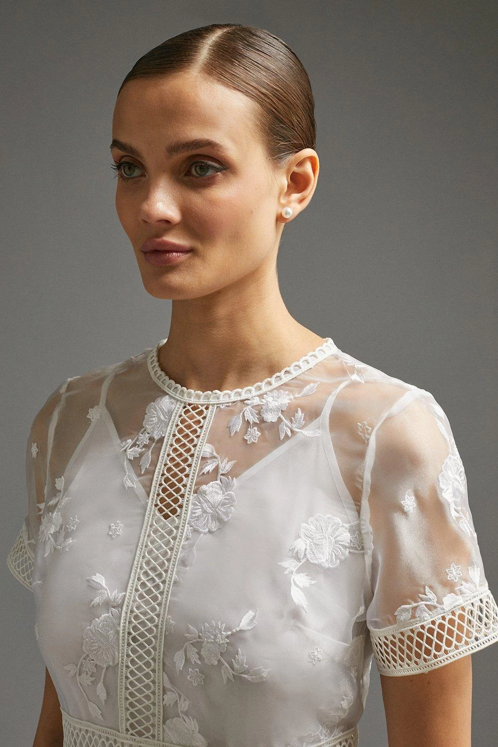 Coast Premium Embroidered Organza Mini Dress 8 Coast Premium Embroidered Organza Mini Dress - Image 6