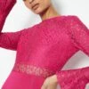 Coast Long Sleeve Lace Short Shift Dress -Simply Feminine Shop acc98467 cerise xl