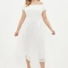 Coast Plus Size Embroidered Midi Dress 2 Coast Plus Size Embroidered Midi Dress -Simply Feminine Shop bcc00273 ivory xl