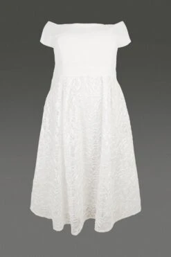 Coast Plus Size Embroidered Midi Dress 11 Coast Plus Size Embroidered Midi Dress -Simply Feminine Shop bcc00273 ivory xl 3 1