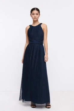 Coast Petite All Over Pleated Maxi Dress