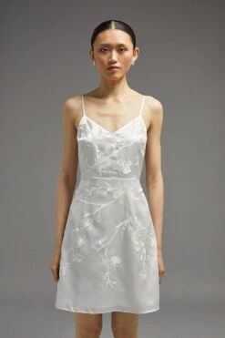 Coast Embroidered Mini Dress