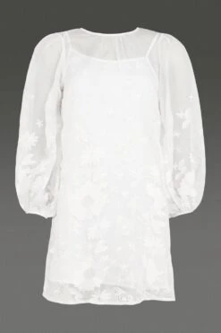 Coast Embroidered Border Organza Full Sleeve​ Mini -Simply Feminine Shop bcc00349 ivory xl 3