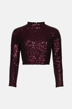 Coast Sequin High Neck Long Sleeve Top  -Simply Feminine Shop bcc00557 berry xl 3