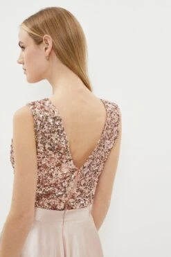 Coast V Neck Sequin Bodysuit -Simply Feminine Shop bcc00864 blush xl 2