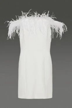 Coast Feather Trim Bardot Mini Dress 14 Coast Feather Trim Bardot Mini Dress -Simply Feminine Shop bcc01126 ivory xl 5