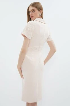 Coast Premium Embellished Roll Collar Pencil Dress -Simply Feminine Shop bcc01789 blush xl 2