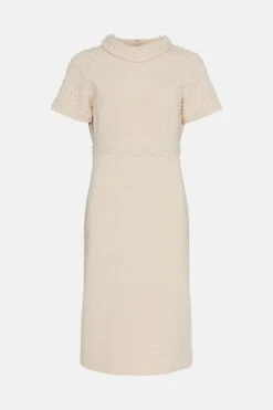 Coast Premium Embellished Roll Collar Pencil Dress -Simply Feminine Shop bcc01789 blush xl 3