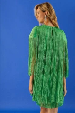 Coast Premium Statement Fringe Detail Mini Dress 7 Coast Premium Statement Fringe Detail Mini Dress -Simply Feminine Shop bcc02176 bright20green xl 2