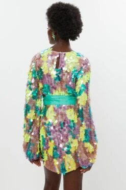 Coast Premium Large Disc Sequin Mini Dress -Simply Feminine Shop bcc02230 multi xl 2