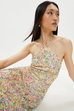Coast Multi Colour Sequin Halter Neck Column Dress