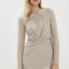 Coast Premium Embellished Mini Dress -Simply Feminine Shop bcc02402 ivory xl