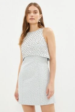 Coast Overlay Embellished Jacquard Mini Dress