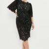 Coast Plus Size Lace Flare Sleeve Pencil Dress -Simply Feminine Shop bcc02709 black nude xl