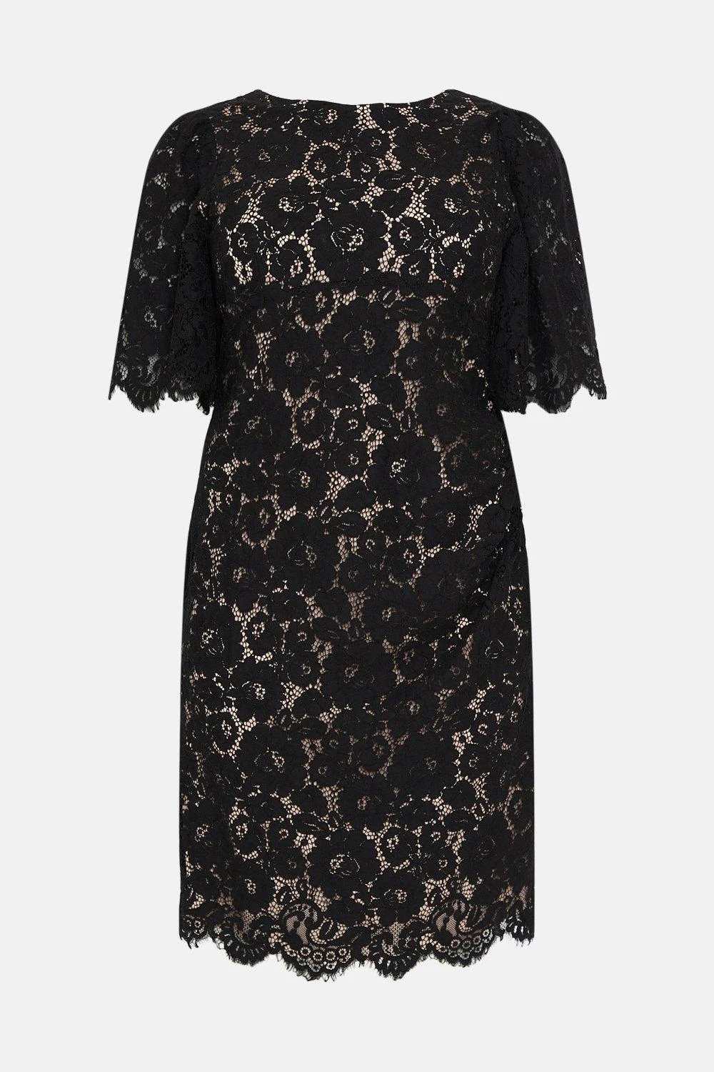 Coast Plus Size Lace Flare Sleeve Pencil Dress 6 Coast Plus Size Lace Flare Sleeve Pencil Dress - Image 4