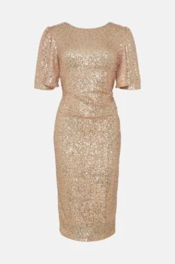 Coast Petite Sequin Flare Sleeve -Simply Feminine Shop bcc02735 champagne xl 3