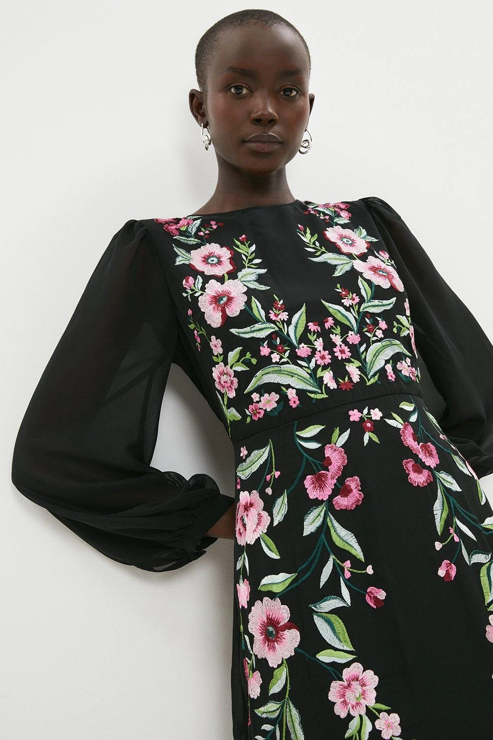 Coast Trailing Poppy Embroidered Midi Dress 4 Coast Trailing Poppy Embroidered Midi Dress - Image 2