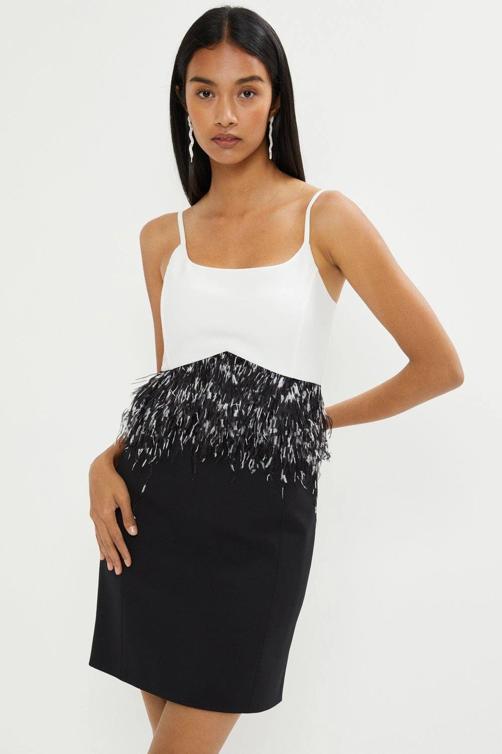 Coast Premium Feather Trim Mini Dress 3 Coast Premium Feather Trim Mini Dress