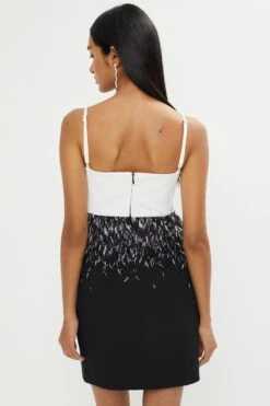 Coast Premium Feather Trim Mini Dress 8 Coast Premium Feather Trim Mini Dress -Simply Feminine Shop bcc02875 mono xl 2