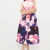 Coast Peony Full Skirted Structured Dress -Simply Feminine Shop bcc03020 multi xl
