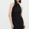 Coast Premium Lace Feather Hem Halter Neck Mini Dress 1 Coast Premium Lace Feather Hem Halter Neck Mini Dress -Simply Feminine Shop bcc03188 black xl