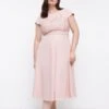 Coast Plus Size Lace Dress With Circular Skirt 2 Coast Plus Size Lace Dress With Circular Skirt -Simply Feminine Shop bcc03296 blush xl