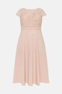 Coast Plus Size Lace Dress With Circular Skirt -Simply Feminine Shop bcc03296 blush xl 3