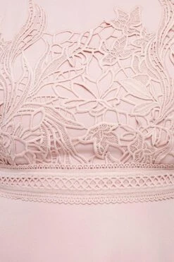 Coast Plus Size Lace Dress With Circular Skirt -Simply Feminine Shop bcc03296 blush xl 5