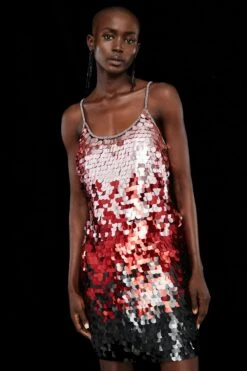 Coast Premium Ombre Sequin Mini Dress