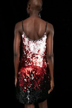 Coast Premium Ombre Sequin Mini Dress -Simply Feminine Shop bcc03382 pink xl 2