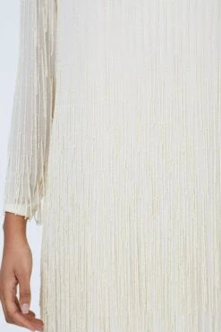 Coast Long Sleeve Embellished Fringe Detail Mini Dress -Simply Feminine Shop bcc03468 ivory xl 1