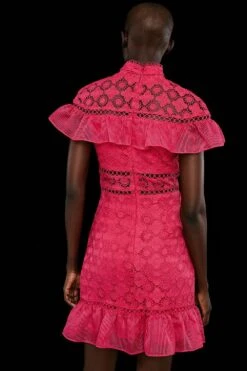 Coast Premium Panelled Lace Organza Trim Mini Dress -Simply Feminine Shop bcc03553 hot20pink xl 2