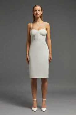 Coast Petite Corset Detail Midi Dress