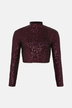 Coast Sequin High Neck Long Sleeve Top -Simply Feminine Shop bcc03743 berry xl 3