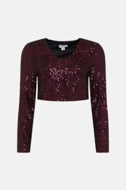 Coast Sequin V Neck Long Sleeve Top 9 Coast Sequin V Neck Long Sleeve Top -Simply Feminine Shop bcc03744 berry xl 3