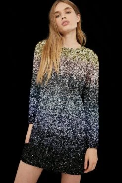 Coast Premium Ombre Hand Embellished Dress