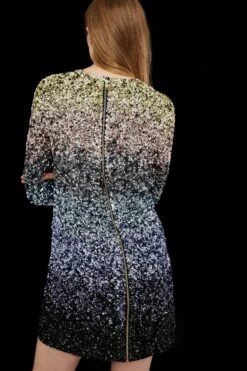 Coast Premium Ombre Hand Embellished Dress -Simply Feminine Shop bcc03923 multi xl 2