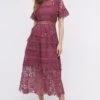 Coast Lace Mix Midi Dress 2 Coast Lace Mix Midi Dress -Simply Feminine Shop bcc03999 rose xl