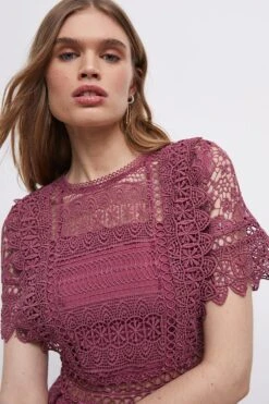 Coast Lace Mix Midi Dress -Simply Feminine Shop bcc03999 rose xl 2