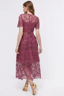 Coast Lace Mix Midi Dress -Simply Feminine Shop bcc03999 rose xl 4