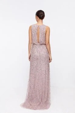 Coast Petite V Neck Blouson Sequin Maxi Dress -Simply Feminine Shop bcc04121 mink xl 2