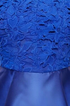 Coast Lace Corset Top Twill Full Skirt Midi Dress -Simply Feminine Shop bcc04188 cobalt xl 5