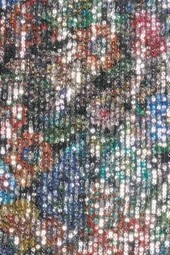 Coast Julie Kuyath Feather Hem Printed Sequin Mini Dress -Simply Feminine Shop bcc04234 black xl 4