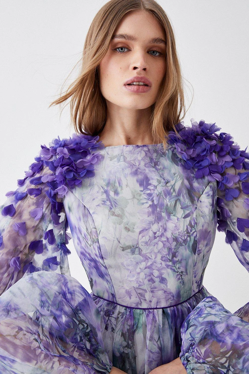 Coast Hand Stitched 3d Floral Organza Mini Dress 4 Coast Hand Stitched 3d Floral Organza Mini Dress - Image 2